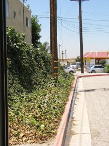 King's Row, El Monte